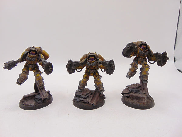 Inceptors