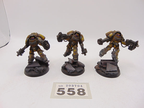 Inceptors