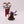 Acolyte Iconward
