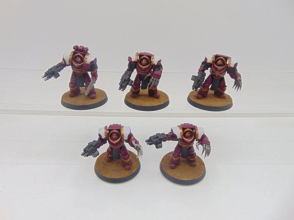 Cataphractii Terminator Squad