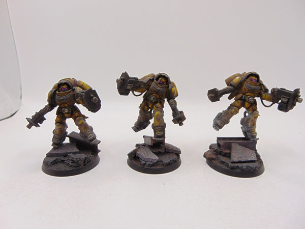 Inceptors