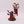 Acolyte Iconward