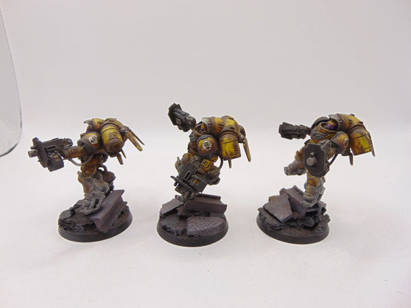 Inceptors