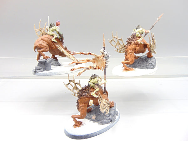 Morbheg Knights