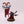 Acolyte Iconward