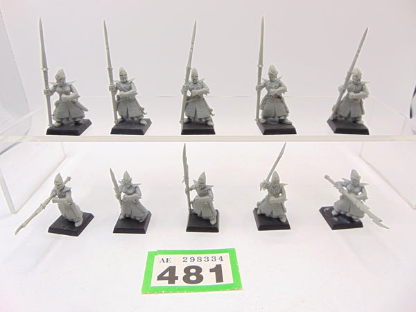 Dark Elf Spearmen / Dreadspears