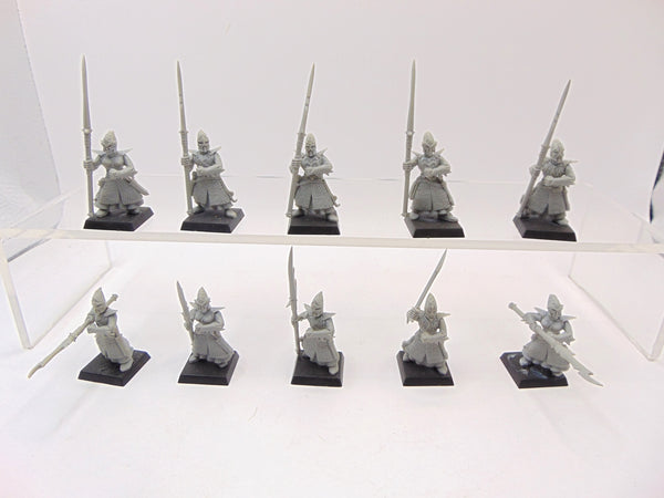 Dark Elf Spearmen / Dreadspears