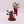 Acolyte Iconward