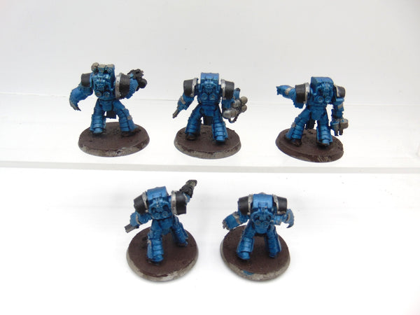 Cataphractii Terminator Squad