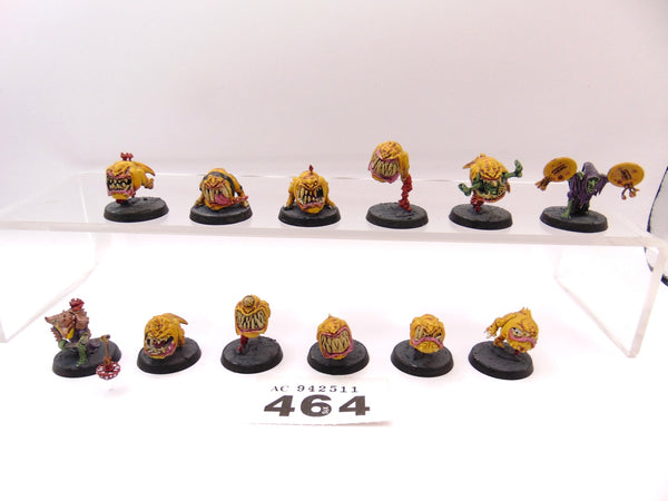 Squig Herd