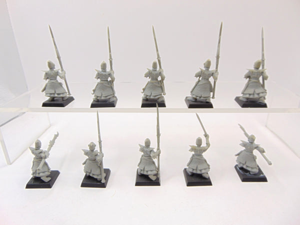 Dark Elf Spearmen / Dreadspears