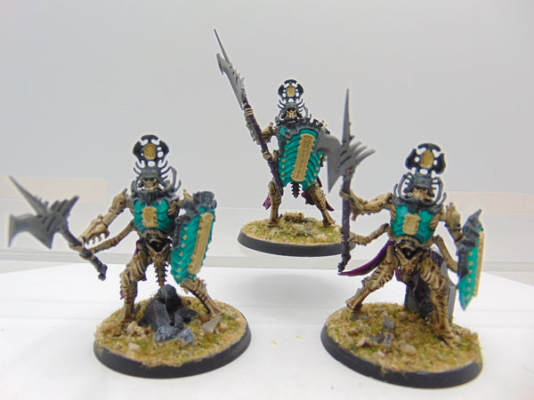 Immortis Guard