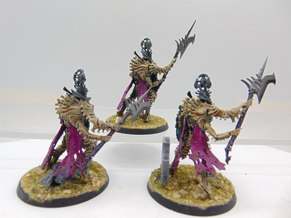 Immortis Guard