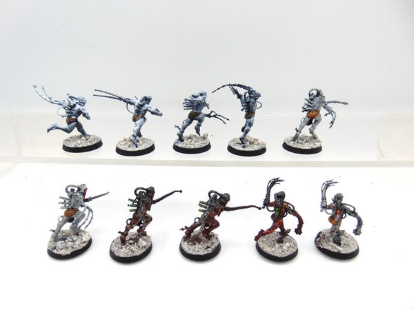 Arco Flagellants