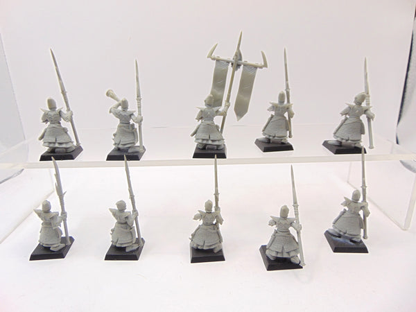 Dark Elf Spearmen / Dreadspears