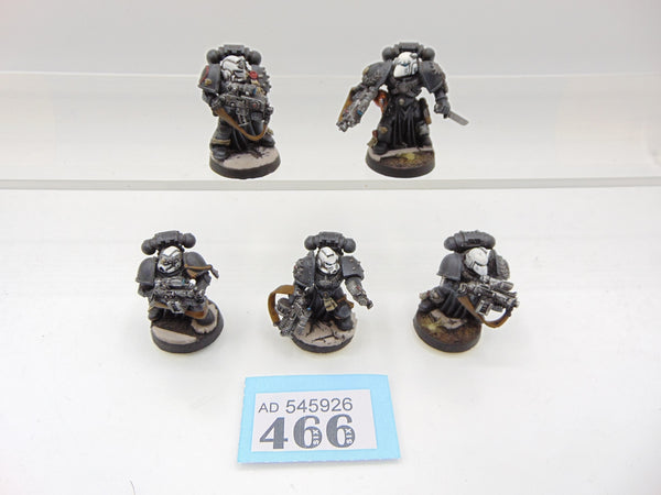 Sternguard Veterans