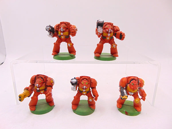 Terminator Squad