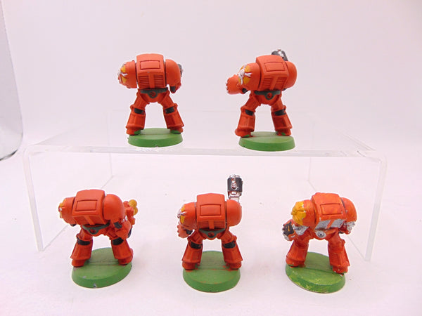 Terminator Squad
