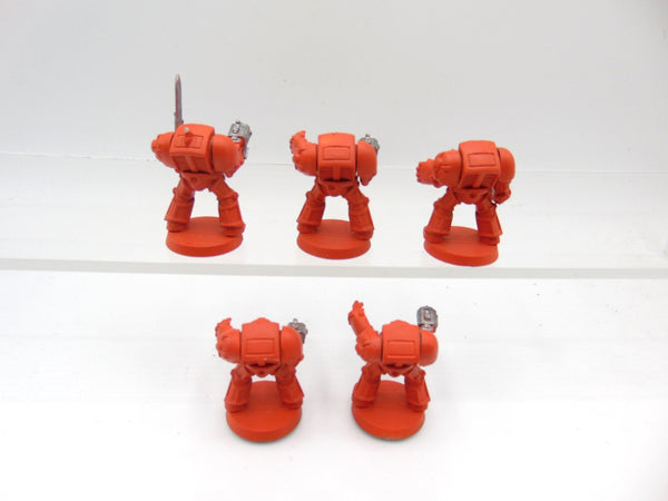 Terminator Squad