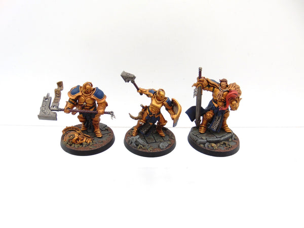 Steelheart's Champions