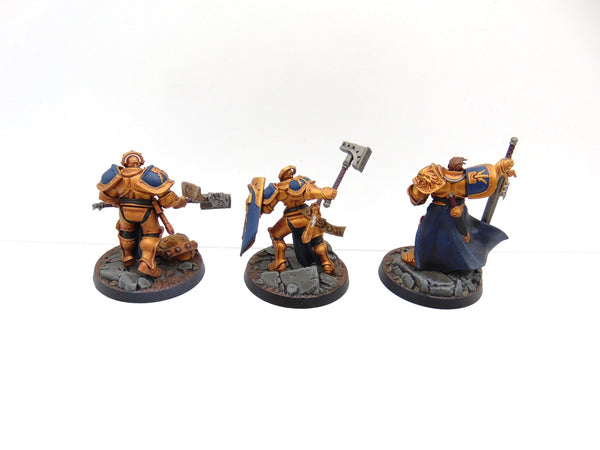 Steelheart's Champions