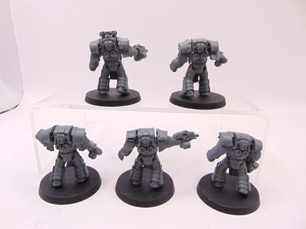Cataphractii Terminator Squad