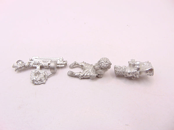 Vostroyan Firstborn Heavy Bolter Team