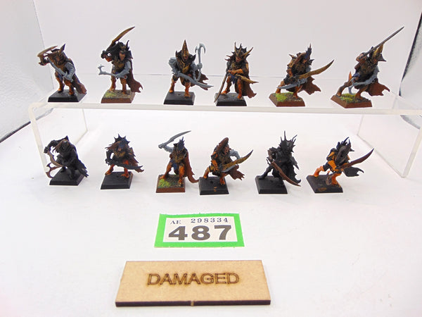 Black Ark Corsairs