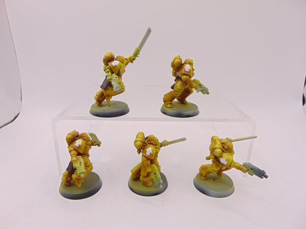Assault Intercessors