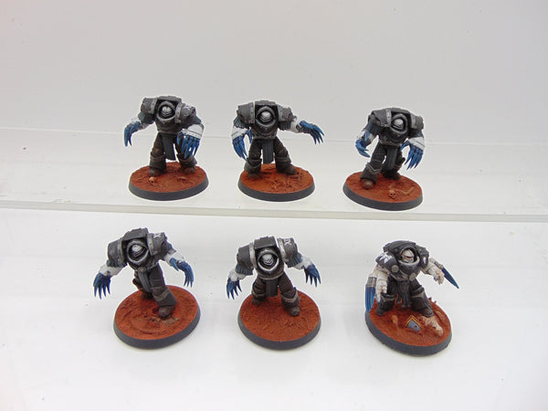 Cataphractii Terminator Squad