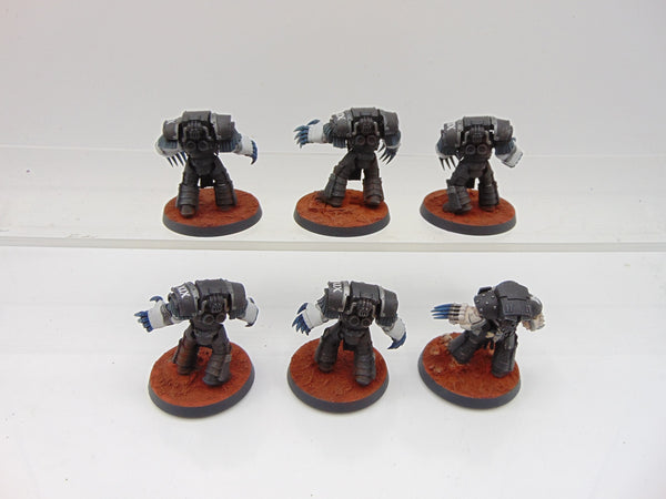 Cataphractii Terminator Squad