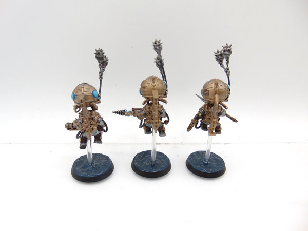 Skywardens