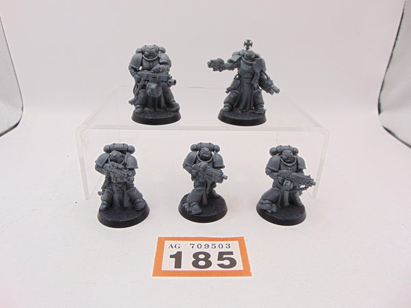 Sternguard Veterans