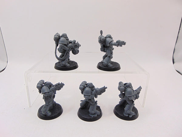 Sternguard Veterans