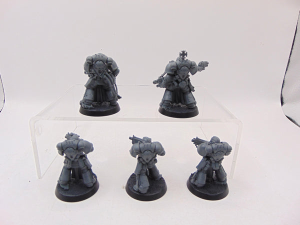 Sternguard Veterans