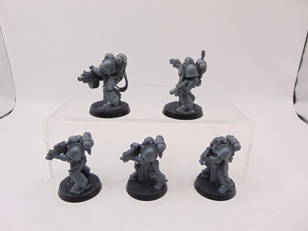 Sternguard Veterans