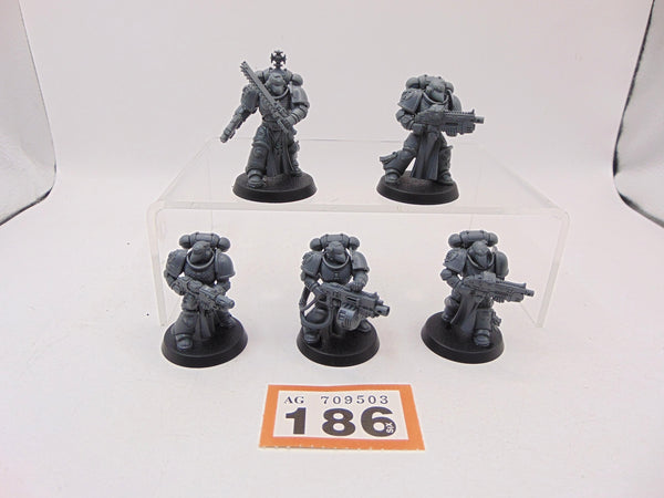 Sternguard Veterans