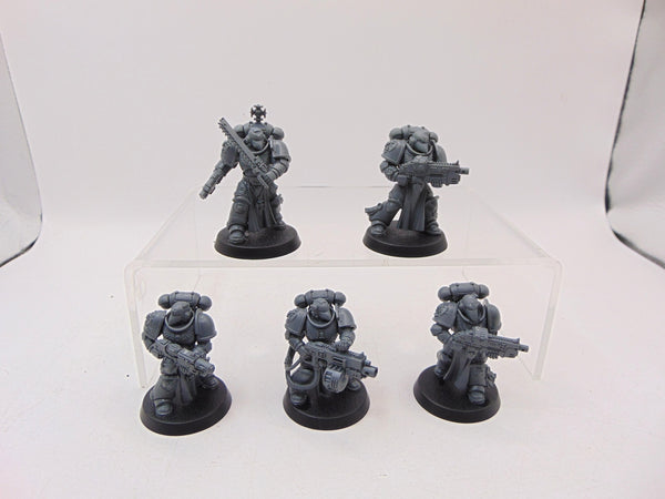 Sternguard Veterans