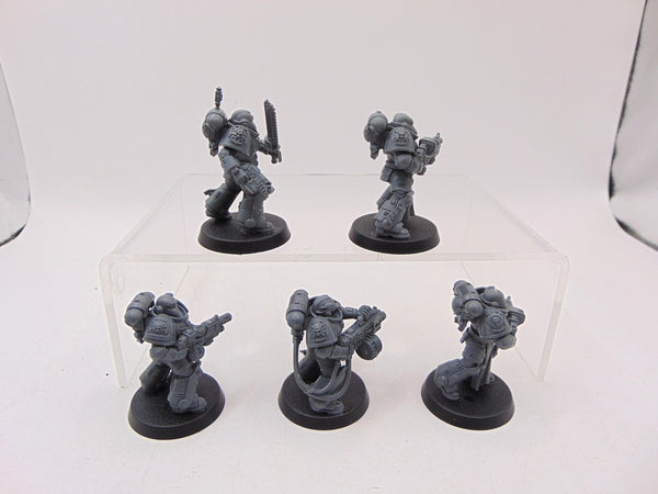 Sternguard Veterans
