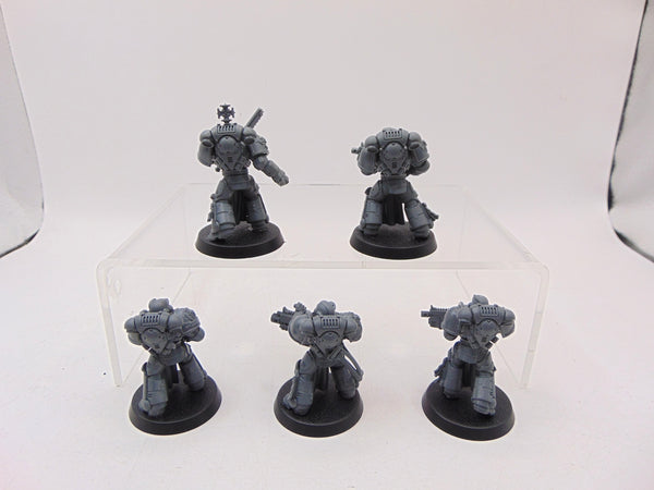 Sternguard Veterans
