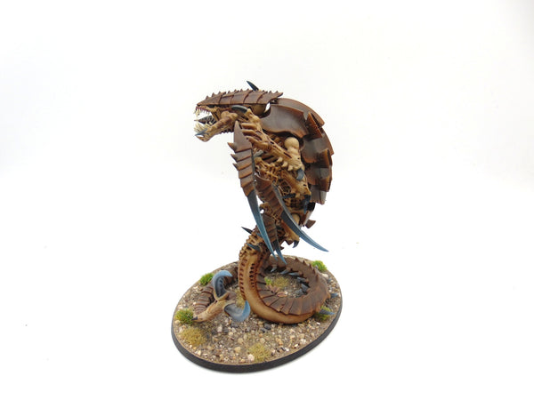 Trygon