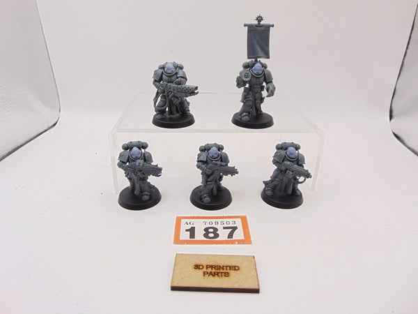 Sternguard Veterans