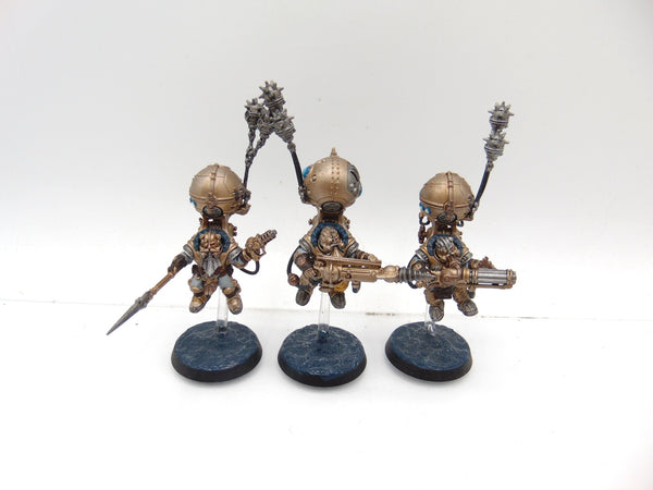 Skywardens