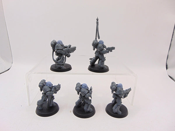 Sternguard Veterans