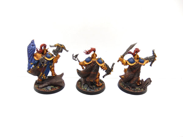 The Farstriders