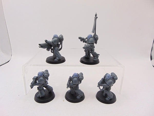 Sternguard Veterans