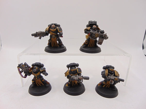 Sternguard Veterans