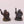 C06 Nothern Dwarves