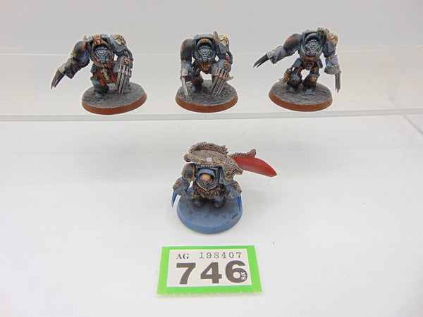 Wolf Guard Terminators