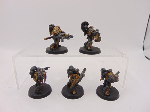 Sternguard Veterans
